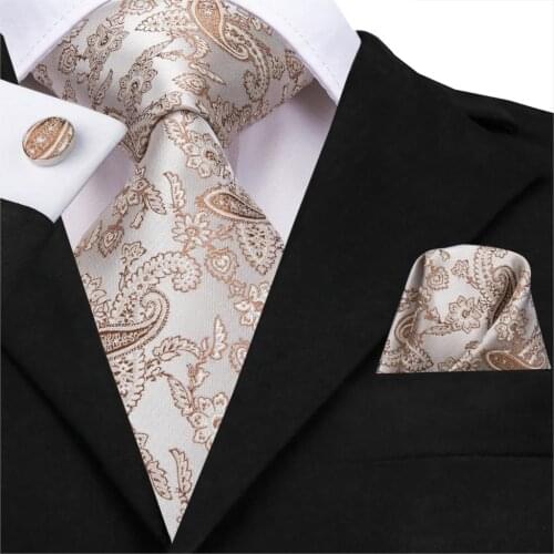 C-3158 Light Brown Luxury Paisley Ties for Men Champagen Color Silk Wown Mens Ties 8.5cm Wide Adult Necktie Wedding Party Tie