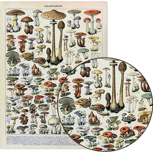 Vintage Adolphe Millot Encyclopedia Posters Mushrooms Herbs Flowers Classic Canvas Paintings Wall Stickers Nursery Decor