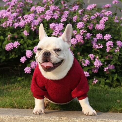 Winter Pet Dog Clothes for Small Medium Dogs Fleece Warm French Bulldog Sweater Coat Puppy Sport Sweatshirt Cat Dog Clothing