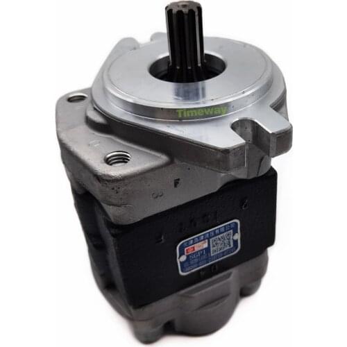 1~3.5T internal combustion forklift Pump SGP1A31.9D2H9-L438T SHIMADZU TSH Gear Pump