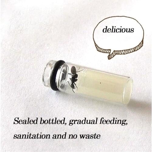 3PCS/LOT Ant Workshop Ant Castle Special Food Ants Food is Convenient and Simple High Nutrition and Not Easy to Mold