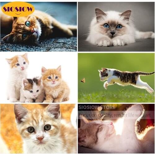 Cat Picture Full Square 5d Diamond Painting Daimond Embroidery Cross Stitch Kits Dimond Mosaic Rhinestone Needlework Decor Home