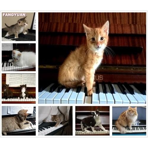 5D Diy Diamond Painting Animals Cute Kitten Cross Stitch Kits Art Diamond Embroidery Cat Rhinestones Pictures Home Decor Gift