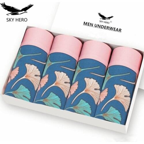 SKY HERO Men's Home Briefs