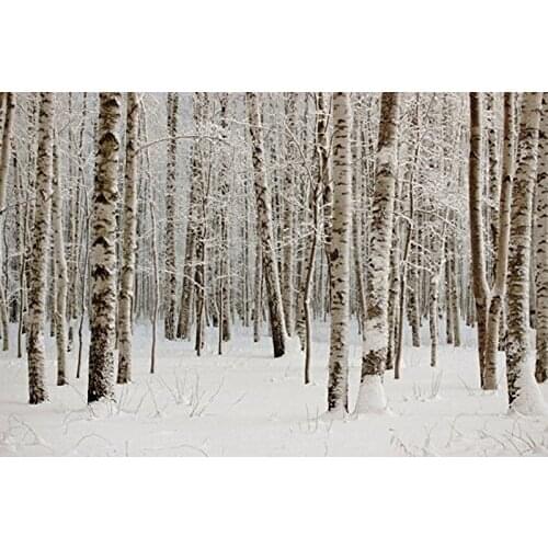 5x7ft Snowy forest photography winter landscape Christmas backdrop