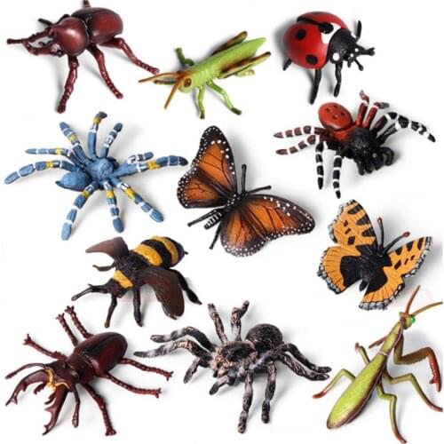 Action&Toy Figure Insect Model High Quality Plastic Simulation Spider Butterfly Beetle Bee Doll Collection For Kid Children Gift