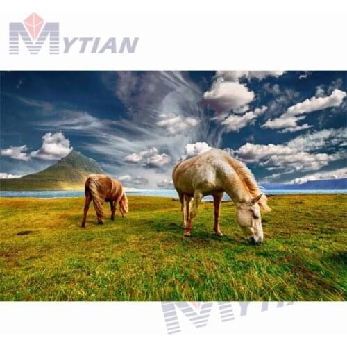 5D DIY Full Drill Square & Round Diamond Painting Cross Stitch Horses on Grass Diamond Embroidery Rhinestone Mosaic Home Decor