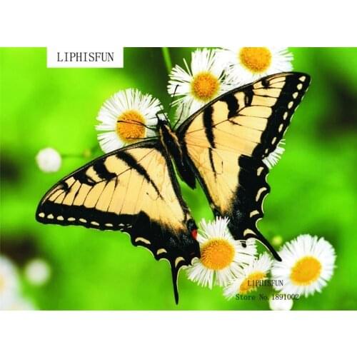 5D Square Rhinestone Diamond Painting Cross Stitch Butterfly And Flower Diamond Embroidery Diamond Home Decor