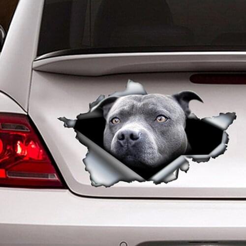 Personality Car Stickers 3D Blue Pitbull Dog Pet Animal Decal Motorcycle Car Window Accessories PVC 13cm X 8cm