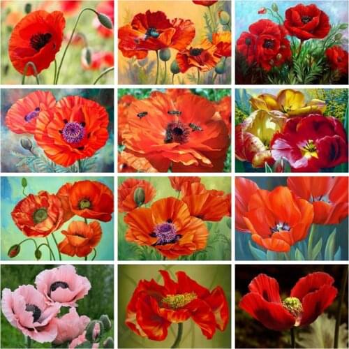 Huacan 5d Diamond Painting Poppy Flower Mosaic Red Floral Home Decor Embroidery Cross Stitch Kit Diamond Art