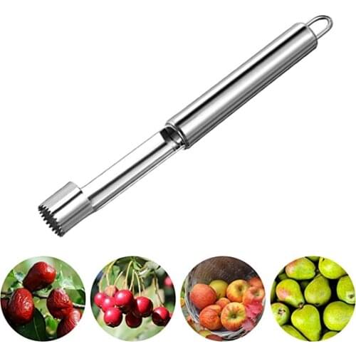 Stainless Steel Apple Corer Pitter Cherry Pear Bell Seed Remover Pepper Twist Fruit Core Remove Pit Kitchen Tool Gadget Stoner