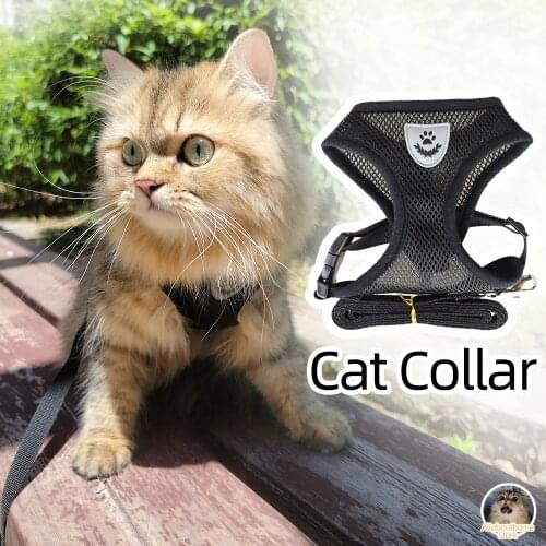Strap Style Cat Collar for Cats Lead Dog Leash Chien Harness Seresto Pet Accessories Dog Collar for Cat Harness Cats Pet Seresto