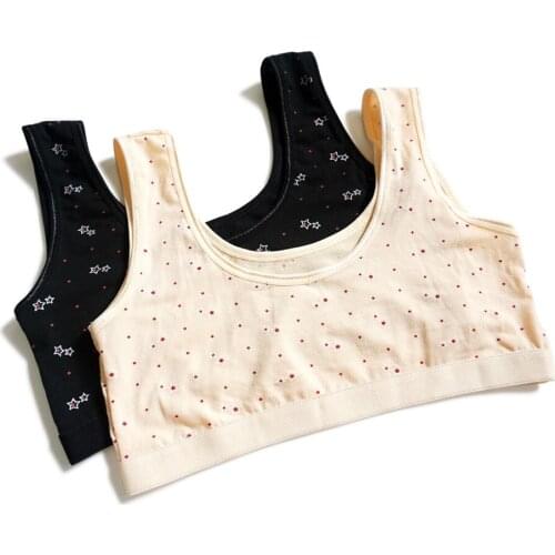 2PCS/Lot Childrens breast care girl bra Hipster Cotton Teens Teenage Underwear summer Kids vest Young Cute topic for 12-16Years