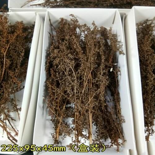 2pcs/lot architecture model scale new tree with bush model scene in ho train layout