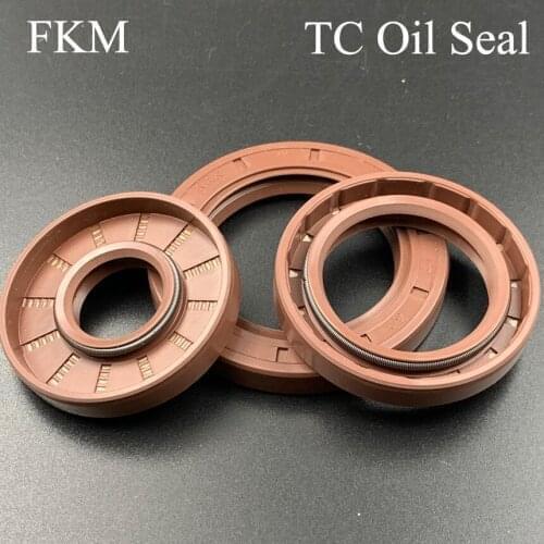 62*85*10/12 62x85x10/12 62*100*12 62x100x12 Fluoro FKM Fluorine Rubber Spring Two Lip TC Gasket Radial Shaft Skeleton Oil Seal