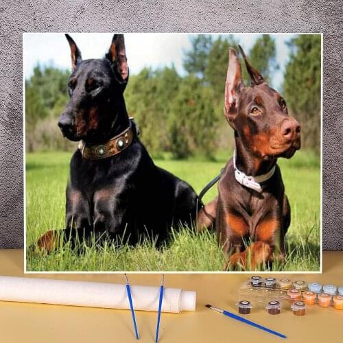Animal Dog Doberman DIY Painting By Numbers Kit Oil Paints 40*50 Paiting By Numbers Loft Wall Picture Children Drawing