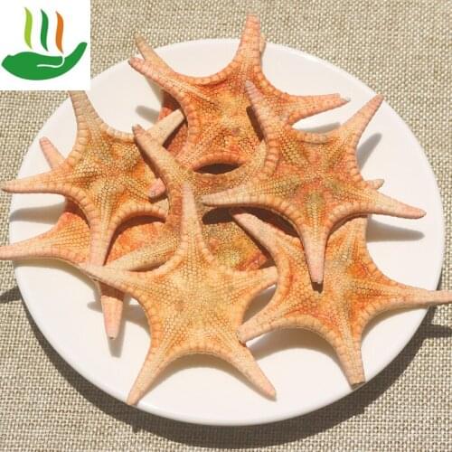 Wild Small Starfish, Dried Seafood and Aquatic Products, Deep Sea Starfish Five-pointed Star