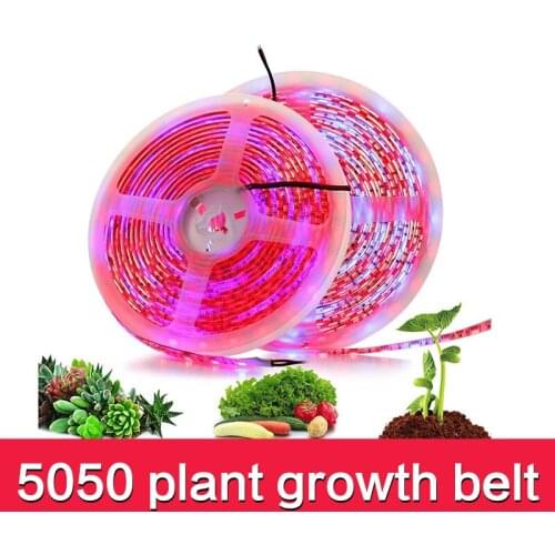5050 12V Plant light strip 60leds/m waterproof Led Strip for Plants Grow light led phyto lamp for Greenhouse Hydroponic plant