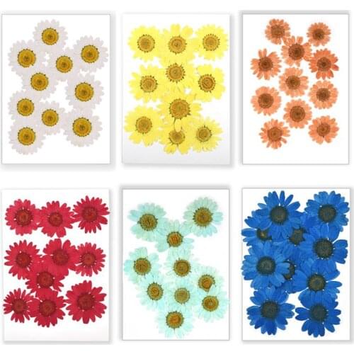 10pcs Natural Chrysanthemum Dried Flowers DIY Resin Filling For Crystal Epoxy Resin Mold Pressed Flower Jewelry Pendant Making