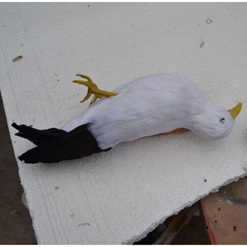 About 30cm feathers died seagull Handmade art model,,Environmental protection publicity filming prop toy gift w3917
