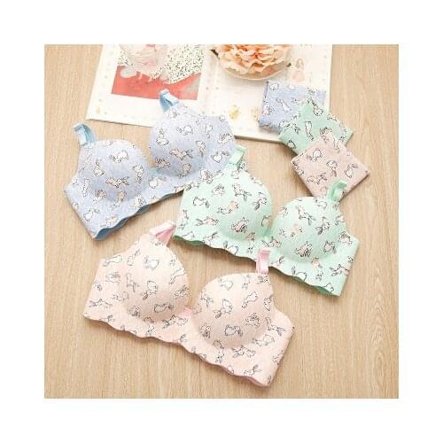 2017 Training Bras For Girls Cartoon Bras And Matching Briefs Sets Kids Training Bra Sets Teenage Girl Underwear