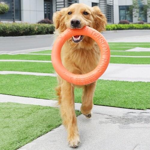 Pet Flying Discs Dog Training Ring Puller Resistant Bite Floating Outdoor Interactive Game Dia. 17.5/27.5cm Pet Toys