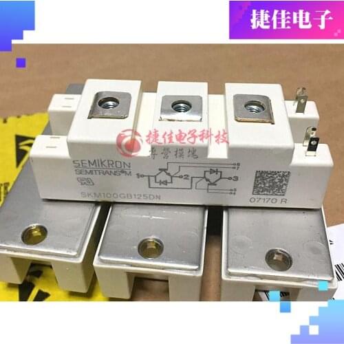 SKM100GB128D SKM100GB123D SKM195GB124N SKM100GB176D 100GB176