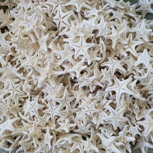 HappyKiss20Pcs/set Sea Star natural Star Fish Animal Shell Beach Ornament Weddings Party DIY Home Decoration Craft 3-4cm