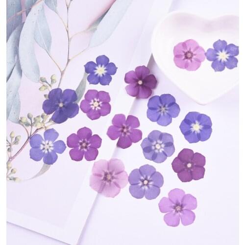 2-3cm/24pcs,Nature Real Touch Phlox Petals,Pressed flowers for DIY Candles Bookmark Gift Card,Flores secas Facial nail Decor