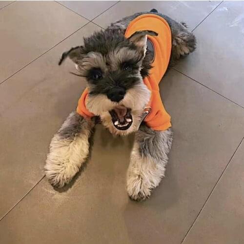 Fashion Pet Dog Hoodie Clothes Winter Warm Coat Jacket for Small Medium Dogs Pomeranian Schnauzer Chihuahua Bulldog Pug GKC13