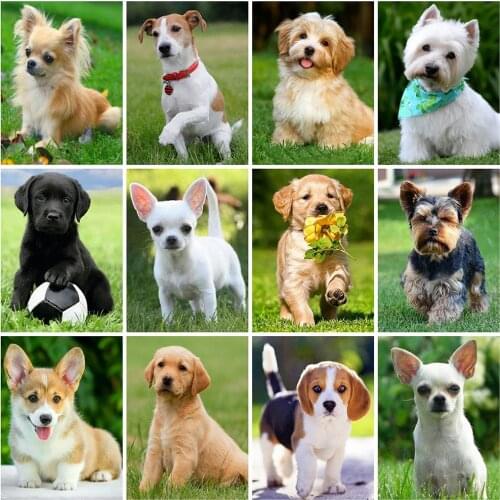 Evershine 5D Diamond Embroidery Dog Cross Stitch Kit Diamond Painting Animals Mosaic Crafts Cross Stitch Home Decoration Art