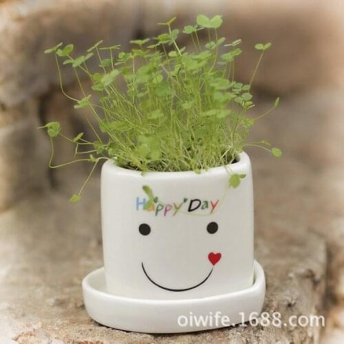 Join creative pot luck angel small potted plant small office desktop ceramics factory outlets