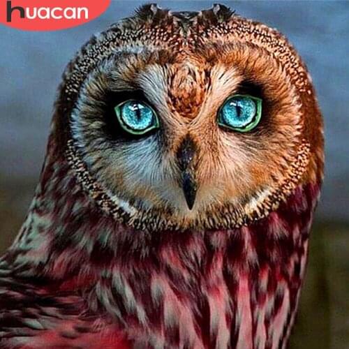 HUACAN Diamond Painting 5d Owl Full Square/Round DIY Diamond Embroidery Mosaic Animal Handmade Gift Wall Art Decor