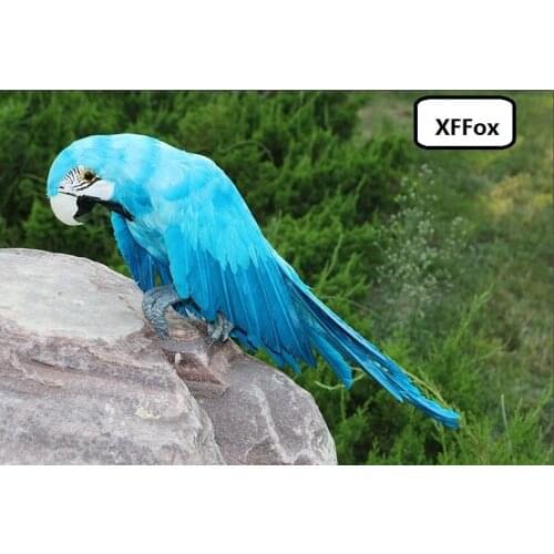 Big real life light blue parrot model foam&feather simulation wings parrot bird gift about 50cm xf0152