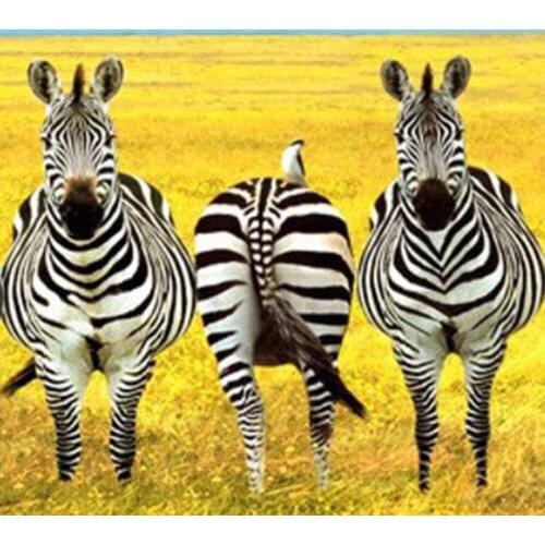5D DIY diamond painting Prairie zebra Full square/round Embroidery Pattern 3D Cross stitch kits mosaic wall stickers