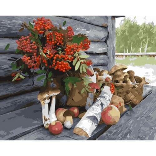 Frameless picture oil painting by numbers wall decor diy painting on canvas for home decor 4050 mushroom