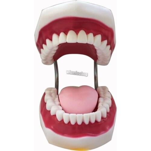 1 PC Dental Child Early Learning brushing model six times brushing teeth child care oral teaching model teeth model preschool