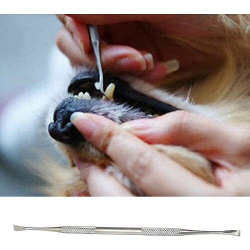 Double-head Stainless Steel Pet Tartar Stone Remover Scraper Scaler for Dog Cat Dental Tooth Oral Hygiene Health Care Clean Tool