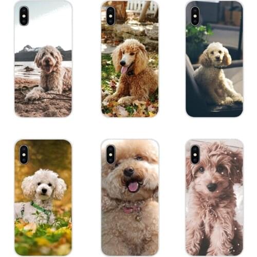 For Samsung A10 A30 A40 A50 A60 A70 Galaxy S2 Note 2 3 Grand Core Prime Poodle Cute Pet Dogs Accessories Phone Cases Covers