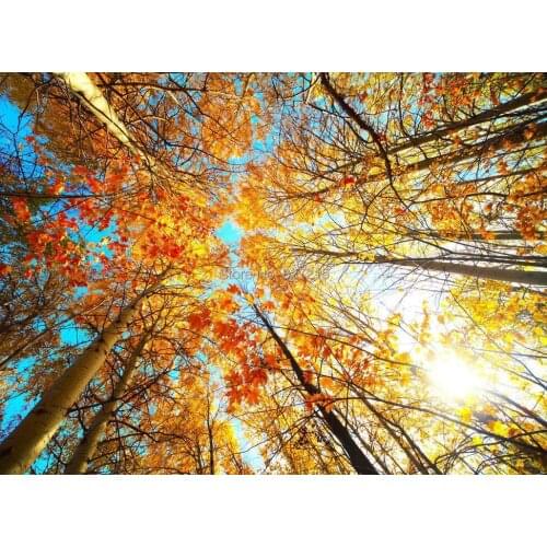 T-2788 maple tree in sky similar decoration as plastic ceiling tiles