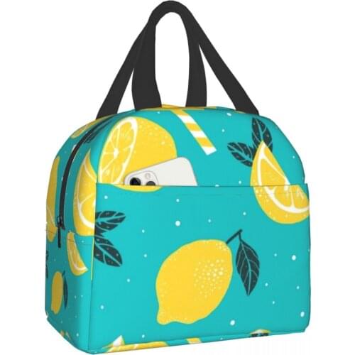 Fruit Functional Pattern Cooler Lunch Box Fruit Portable Lunch Bag Thermal Food Picnic Lunch Bags For Women Kids