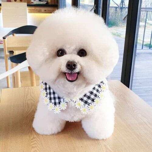Ins Korea Plaid Dog Lace Smiley Bib Pet Fake Collar Bichon Teddy Hiromi Bib Cat Dog