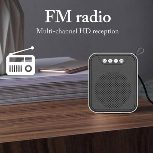 C8 Metallic Mini Bluetooth Speaker Outdoor Portable FM Card AUX Bluetooth Speaker