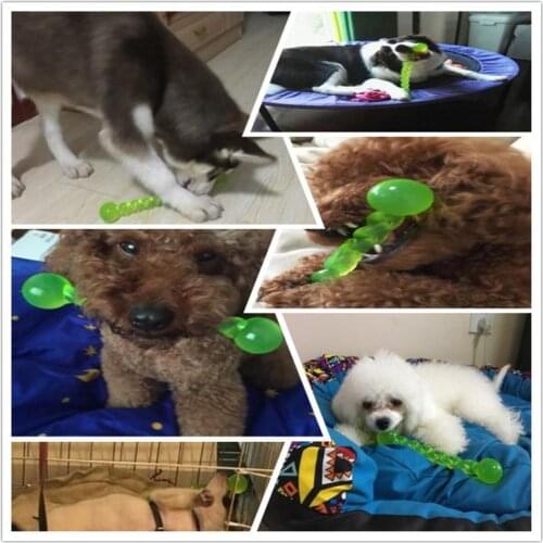 New Rubber Dog Toy Rubber Molar Tooth of The Pets Toys Dog Bite Resistant Molars Training For Clean Toothbrush