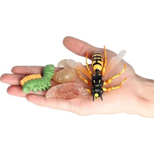 Action Figures Simulation Animals Growth Cycle Mini Model Locust Earthworm SnailFigurine Baby Gift Educational Kids Toys F5