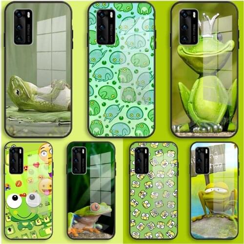 Funny frog Case Huawei For P40 P30 P20 Pro Lite Plus P30lite P40lite E P samrt 2020 TPU Black Glass Cover