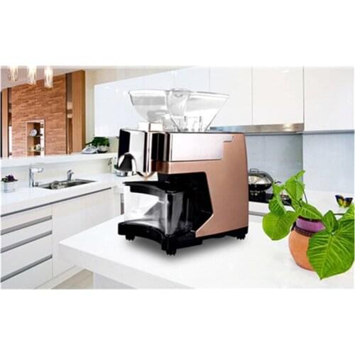 Oil press household electric intelligent small mini multifunctional hot cold expeller