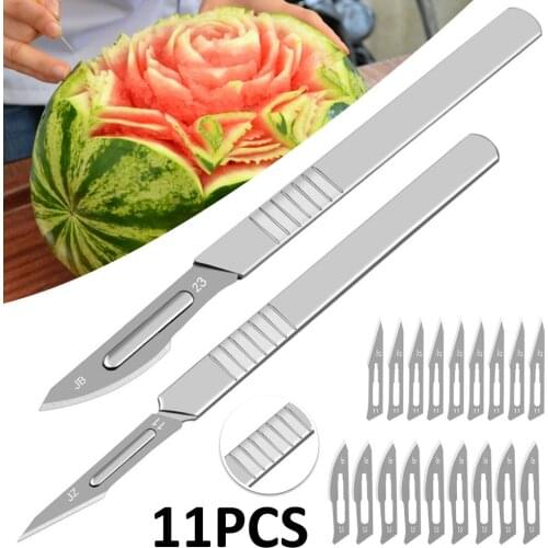 Scalpel with 10 Replacement Sterile Blades Carving knife Animal Surgical Blade with Handle for Biology Lab Anatomy Hand Tools