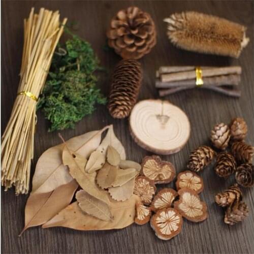 11 Kinds Forest Natural Pinecones Branches Moss and Lichen Leaf Wooden Pieces For Wreath DIY Making Decorations Artificail Deco