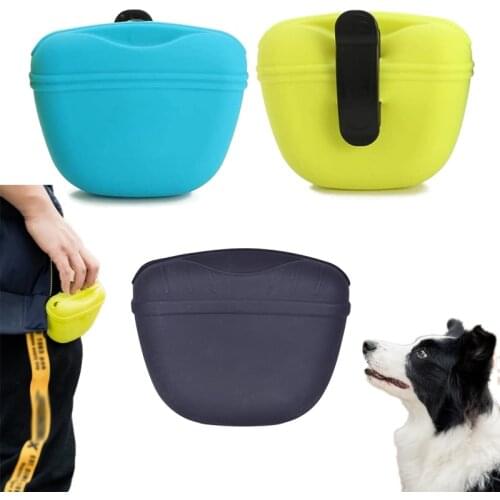 CMinYP Trainers For Dogs